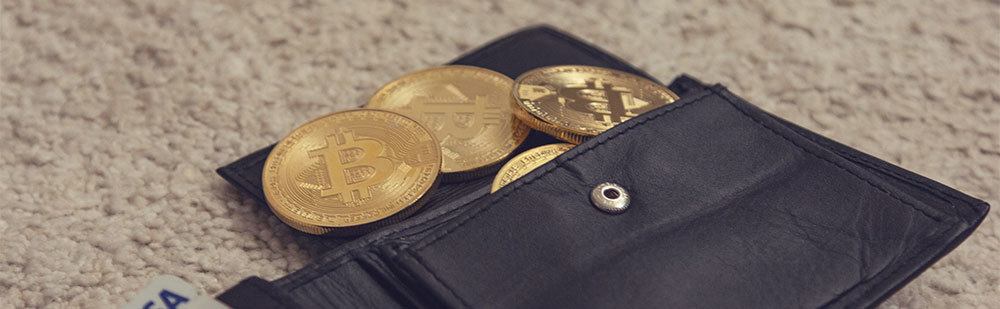 what wallets will support bitcoin gold