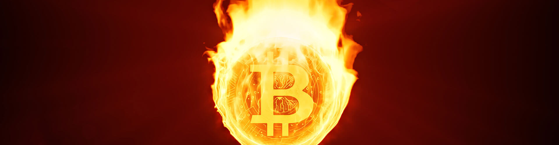 crypto on fire